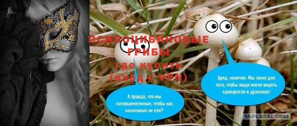первитин Козловка
