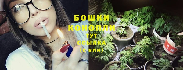 МДМА Козельск