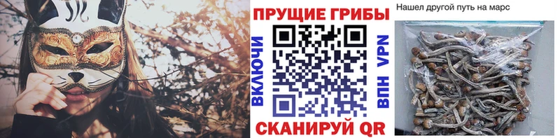 Галлюциногенные грибы ЛСД  Купить  Каргополь 